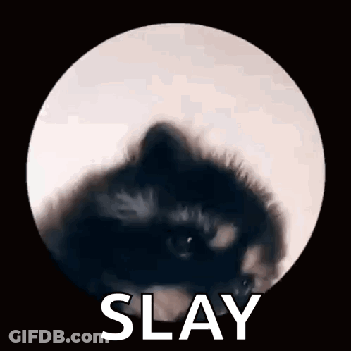 A Close Up Of A Black Cat In A Circle With The Word Slay Written Above It . GIF