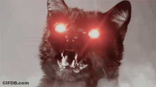 A Close Up Of A Black Cat With Red Eyes And Teeth . GIF