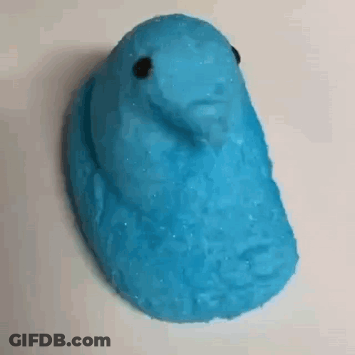 A Close Up Of A Blue Peeps Easter Bunny On A Table . GIF