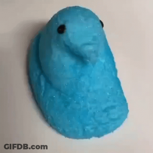 A Close Up Of A Blue Peeps Easter Bunny On A Table . GIF