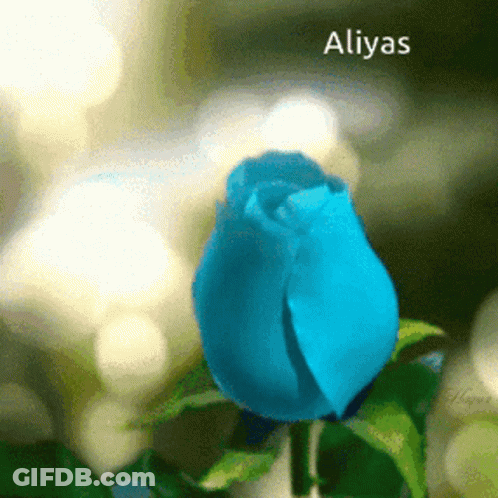 A Close Up Of A Blue Rose With The Name Aliyas On The Bottom GIF