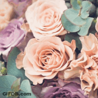 A Close Up Of A Bouquet Of Roses With Green Leaves GIF