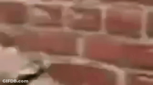 A Close Up Of A Brick Wall With A Blurred Background . GIF