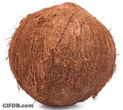 A Close Up Of A Brown Coconut On A White Surface GIF