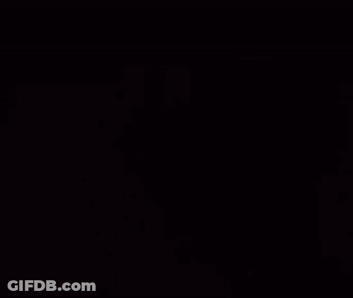 A Close Up Of A Brown Dog 'S Face With A Field In The Background GIF