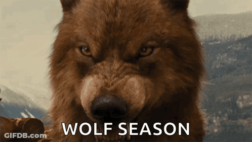 A Close Up Of A Brown Wolf With The Words Wolf Season Written Below It GIF