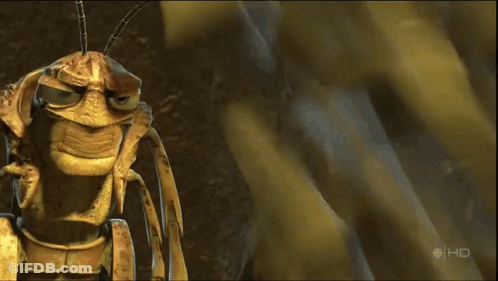 A Close Up Of A Bug On A Screen That Says Hd On It GIF