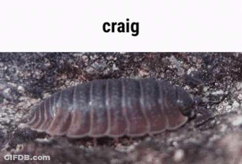 A Close Up Of A Bug With The Word Craig On The Bottom GIF