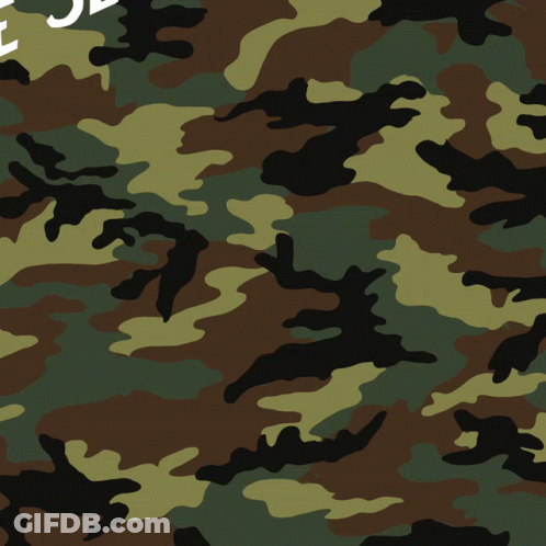A Close Up Of A Camouflage Pattern With The Letters E And J Visible GIF