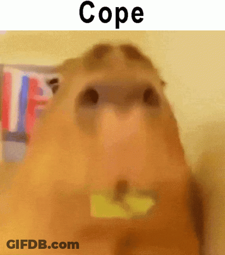 A Close Up Of A Capybara With The Word Cope On The Bottom GIF