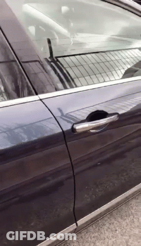 A Close Up Of A Car Door With A Silver Trim GIF