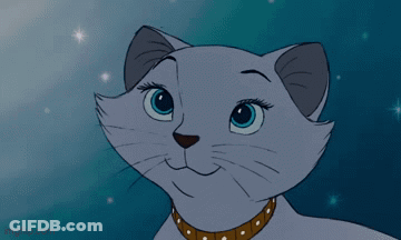 A Close Up Of A Cartoon Cat With A Brown Collar GIF