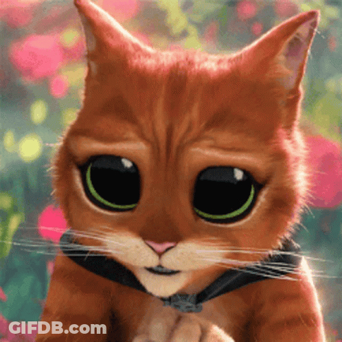 A Close Up Of A Cartoon Cat With Big Eyes GIF
