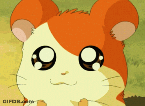 A Close Up Of A Cartoon Hamster With Big Black Eyes GIF