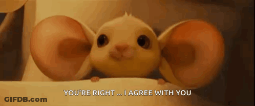 A Close Up Of A Cartoon Mouse With Big Ears And The Words `` You 'Re Right ... I Agree With You '' . GIF