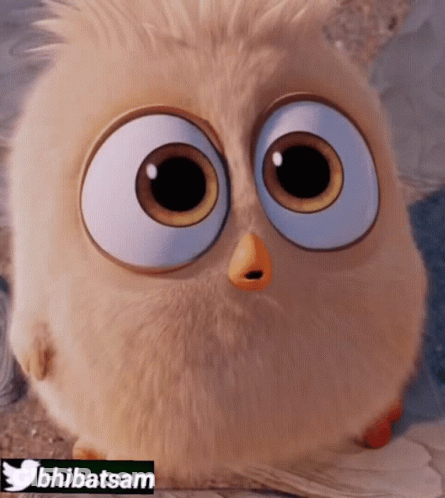 A Close Up Of A Cartoon Owl With A Twitter Icon Below It GIF