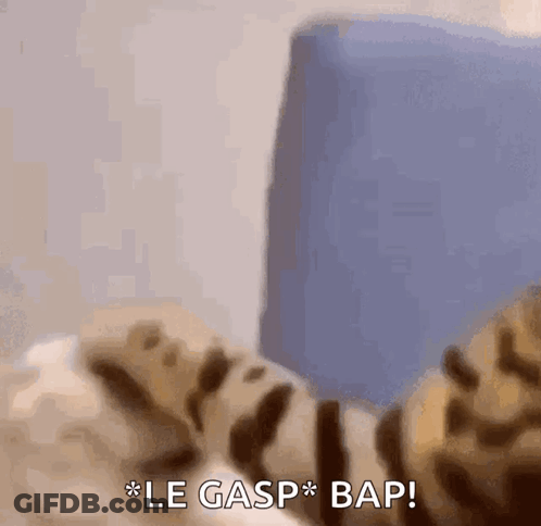 A Close Up Of A Cat Laying On A Bed With The Words Le Gasp Bap Written Below It . GIF