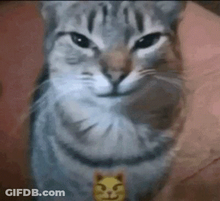 A Close Up Of A Cat Making A Funny Face GIF