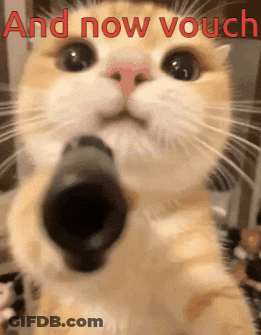 A Close Up Of A Cat Pointing A Gun With The Words And Now Vouch Behind It GIF