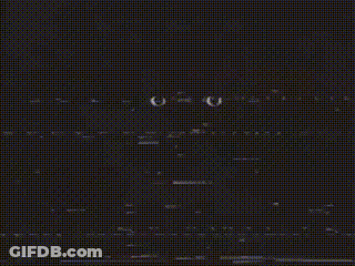 A Close Up Of A Cat 'S Eyes Looking At The Camera On A Black Background . GIF