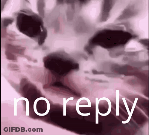 A Close Up Of A Cat 'S Face And The Words No Reply GIF