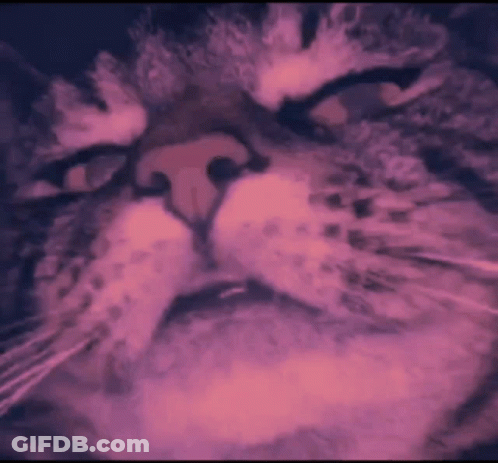A Close Up Of A Cat 'S Face In A Pink And Blue Painting GIF