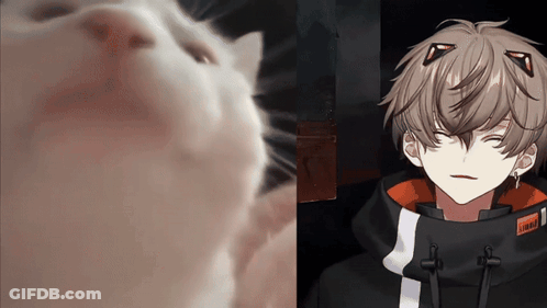 A Close Up Of A Cat 'S Face Next To A Close Up Of A Person 'S Face GIF