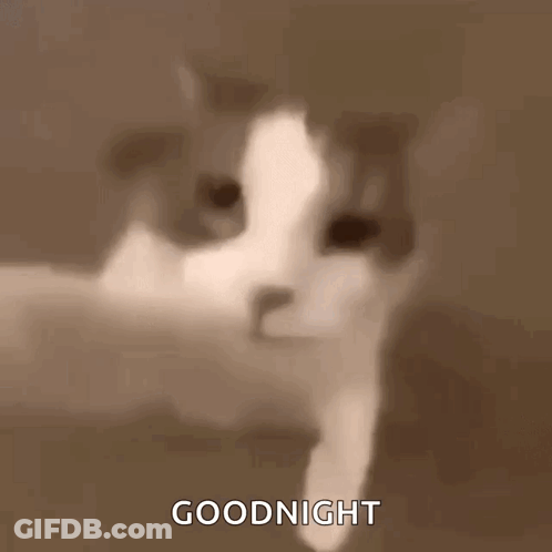 A Close Up Of A Cat 'S Face Says Goodnight . GIF