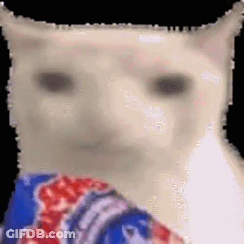 A Close Up Of A Cat 'S Face With A Blue And Red Shirt Around Its Neck GIF