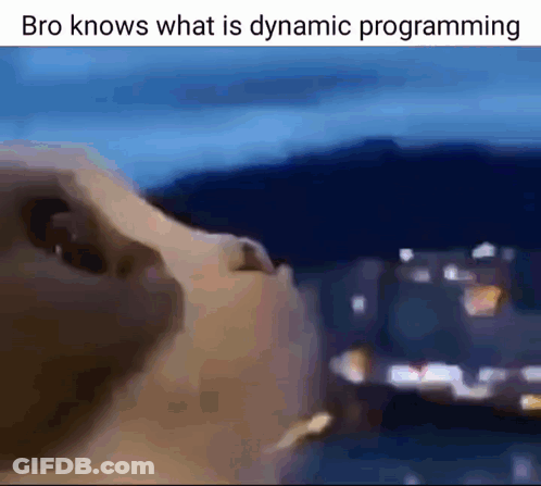 A Close Up Of A Cat 'S Face With A Caption That Says Bro Knows What Is Dynamic Programming . GIF