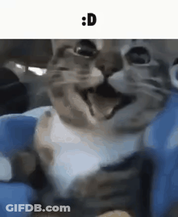 A Close Up Of A Cat 'S Face With A Caption That Says : D . GIF
