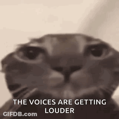 A Close Up Of A Cat 'S Face With A Caption That Says `` The Voices Are Getting Louder '' . GIF