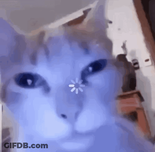 A Close Up Of A Cat 'S Face With A Loading Screen On Its Eyes . GIF