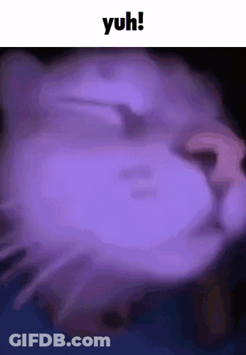 A Close Up Of A Cat 'S Face With A Purple Background And The Words Yuh Written Above It . GIF