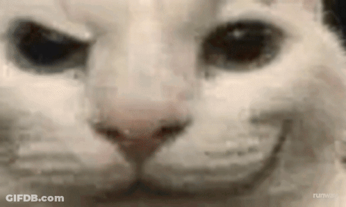 A Close Up Of A Cat 'S Face With A Smiley Face . GIF
