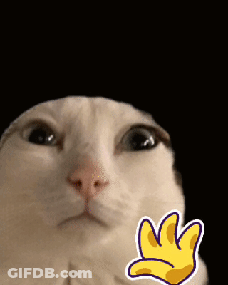 A Close Up Of A Cat 'S Face With A Sticker Of A Hand GIF