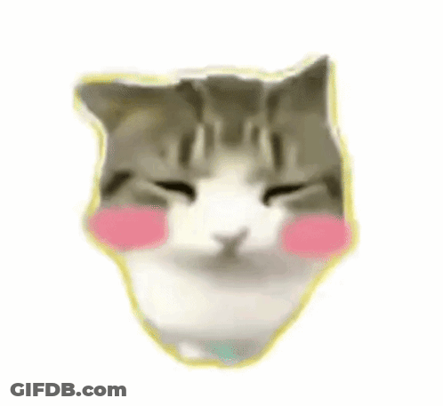 A Close Up Of A Cat 'S Face With A Yellow Border And Pink Cheeks . GIF