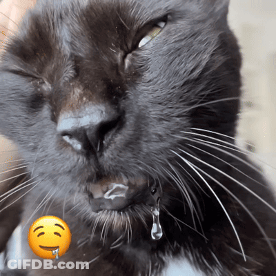 A Close Up Of A Cat 'S Face With A Yellow Smiley Face On It GIF