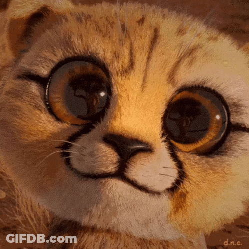 A Close Up Of A Cat 'S Face With Big Eyes GIF