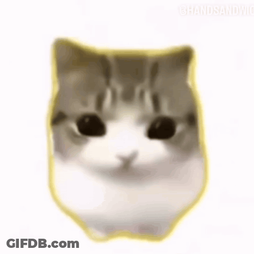 A Close Up Of A Cat 'S Face With Blush On Its Cheeks . GIF