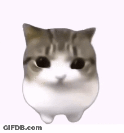 A Close Up Of A Cat 'S Face With Its Eyes Closed And A Pink Cheek . GIF