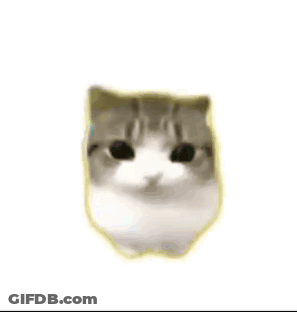 A Close Up Of A Cat 'S Face With Its Eyes Closed And A Pink Cheek . GIF