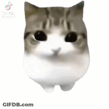 A Close Up Of A Cat 'S Face With Its Eyes Closed And A Pink Heart On Its Cheek . GIF
