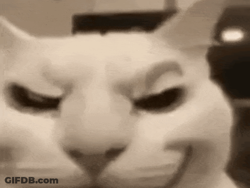 A Close Up Of A Cat 'S Face With Its Eyes Closed And A Smile On Its Face . GIF