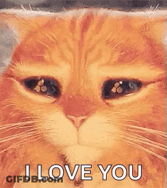 A Close Up Of A Cat 'S Face With Its Eyes Closed And The Words `` I Love You '' . GIF
