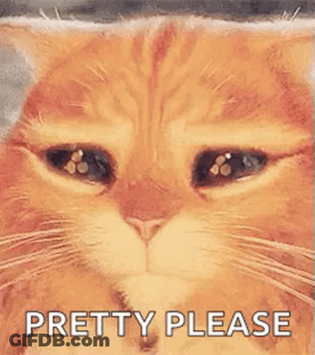 A Close Up Of A Cat 'S Face With Its Eyes Closed And The Words `` Pretty Please '' Written Above It . GIF