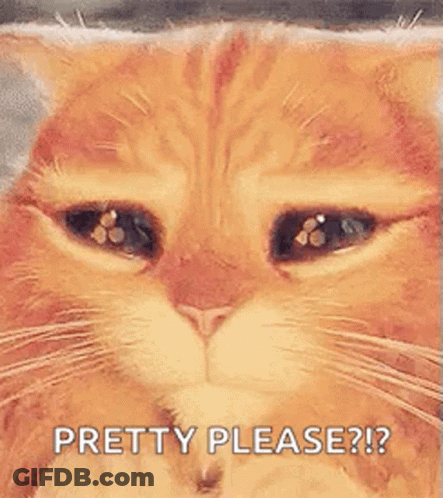 A Close Up Of A Cat 'S Face With Its Eyes Closed And The Words `` Pretty Please ? '' GIF