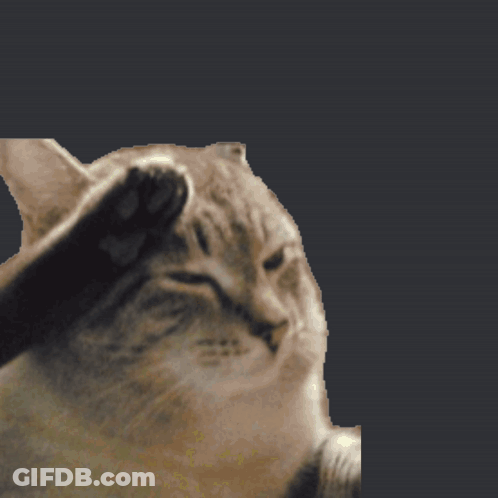 A Close Up Of A Cat 'S Face With Its Paw On Its Face GIF