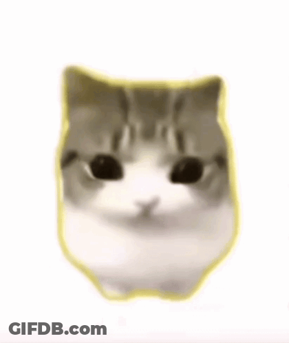A Close Up Of A Cat 'S Face With Pink Cheeks And A Yellow Outline . GIF