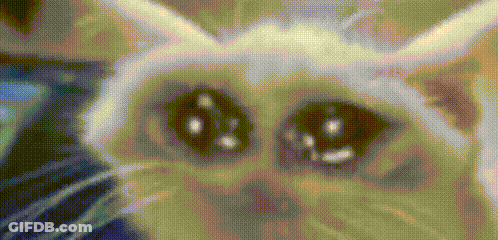A Close Up Of A Cat 'S Face With Sad Eyes Looking At The Camera . GIF